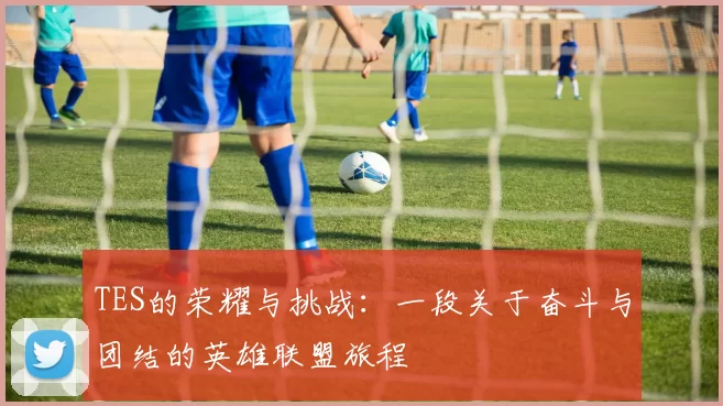 TES的荣耀与挑战：一段关于奋斗与团结的英雄联盟旅程