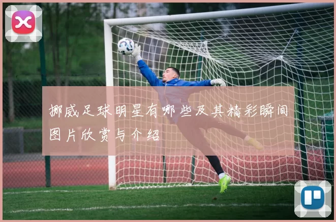 挪威足球明星有哪些及其精彩瞬间图片欣赏与介绍
