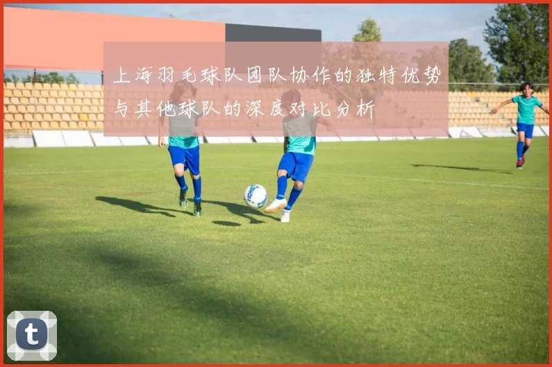 上海羽毛球队团队协作的独特优势与其他球队的深度对比分析