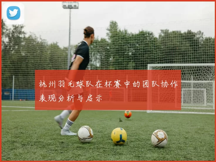 杭州羽毛球队在杯赛中的团队协作表现分析与启示