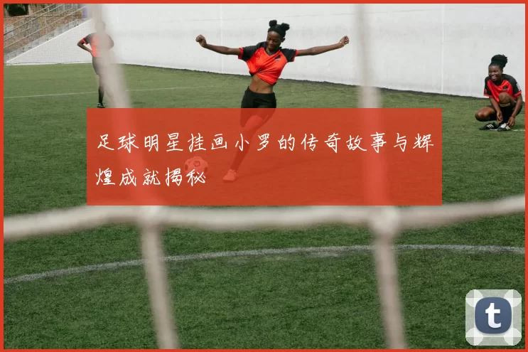 足球明星挂画小罗的传奇故事与辉煌成就揭秘