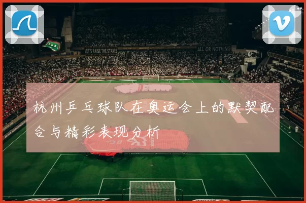 杭州乒乓球队在奥运会上的默契配合与精彩表现分析
