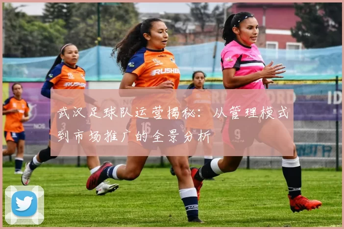 武汉足球队运营揭秘：从管理模式到市场推广的全景分析