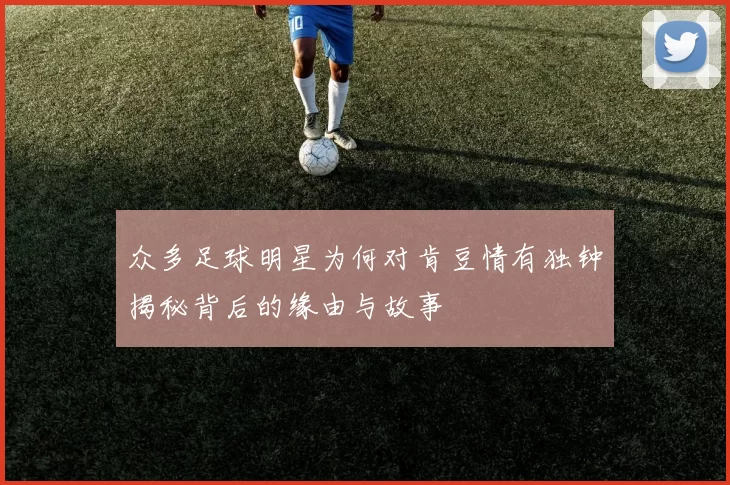 众多足球明星为何对肯豆情有独钟揭秘背后的缘由与故事