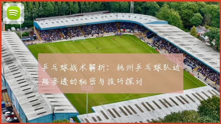 乒乓球战术解析：杭州乒乓球队边路渗透的秘密与技巧探讨