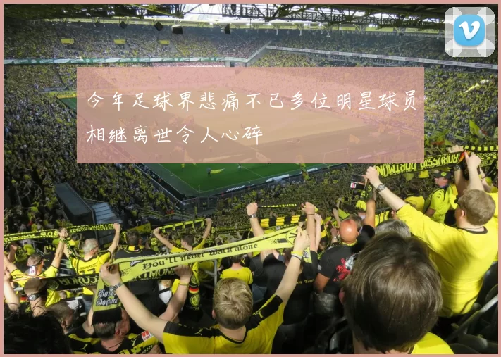 今年足球界悲痛不已多位明星球员相继离世令人心碎