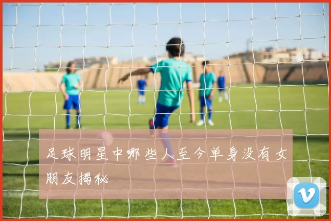 足球明星中哪些人至今单身没有女朋友揭秘