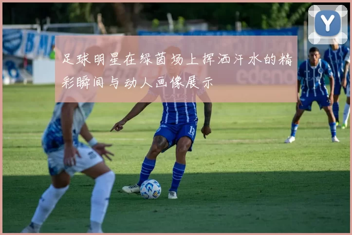 足球明星在绿茵场上挥洒汗水的精彩瞬间与动人画像展示