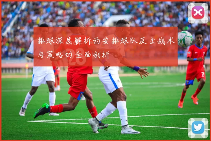排球深度解析西安排球队反击战术与策略的全面剖析