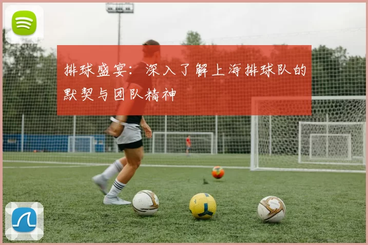 排球盛宴：深入了解上海排球队的默契与团队精神