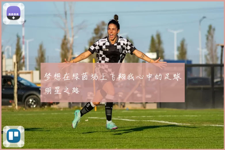 梦想在绿茵场上飞翔我心中的足球明星之路
