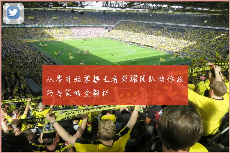 从零开始掌握王者荣耀团队协作技巧与策略全解析