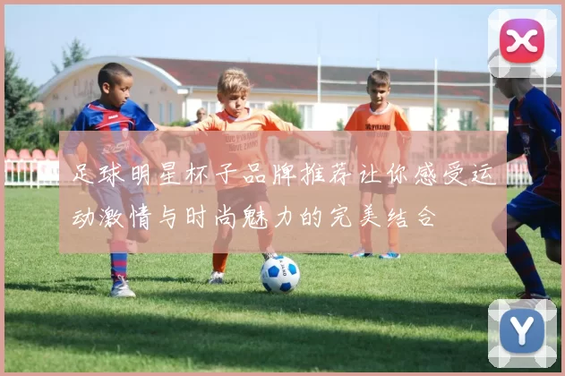 足球明星杯子品牌推荐让你感受运动激情与时尚魅力的完美结合