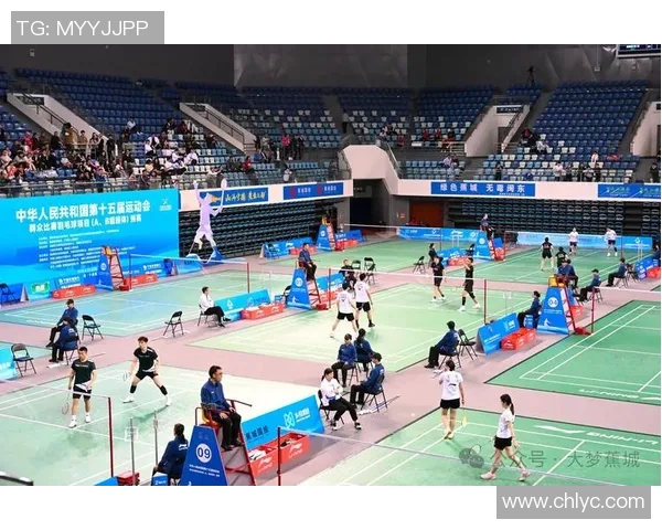 羽毛球的魅力与精神:深入解析北京羽毛球队的团队意识与文化传承