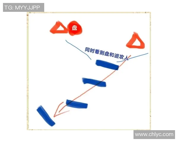 深入分析北京飞盘队的区域防守战术与策略解析