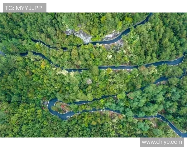 杭州极限运动队状态引发热议专家与爱好者各执己见