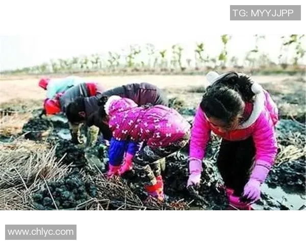蛙泳对身体健康的多重益处及其对心肺功能的促进作用