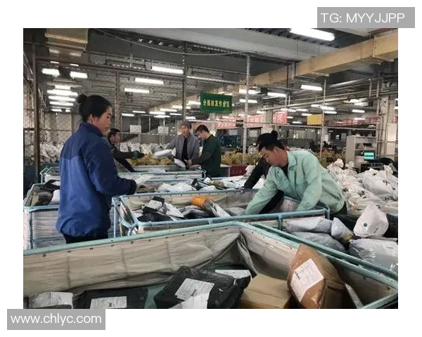 对话吴伟：回顾和平精英职业生涯的挑战与成就